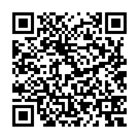 QR code for 29-29393
