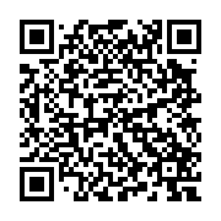 QR code for 29-3007