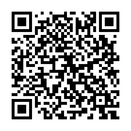 QR code for 29-313Y