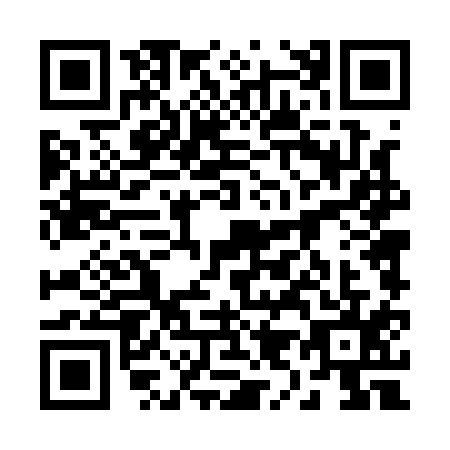QR code for 29-41155
