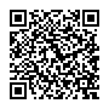 QR code for 29-45061