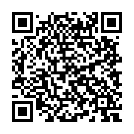 QR code for 29-450Y