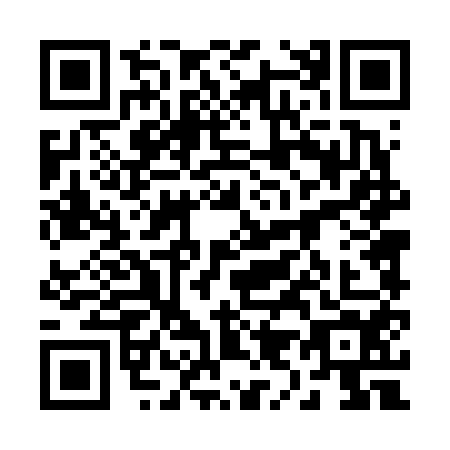 QR code for 29-46545