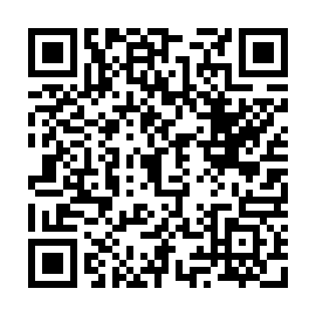 QR code for 29-46636