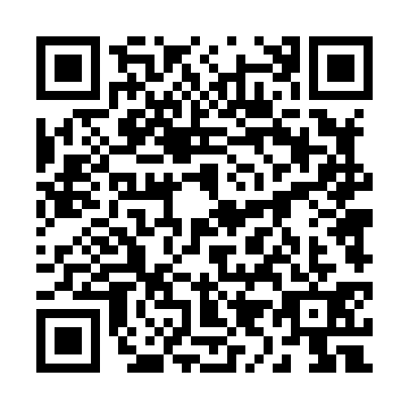 QR code for 29-48313