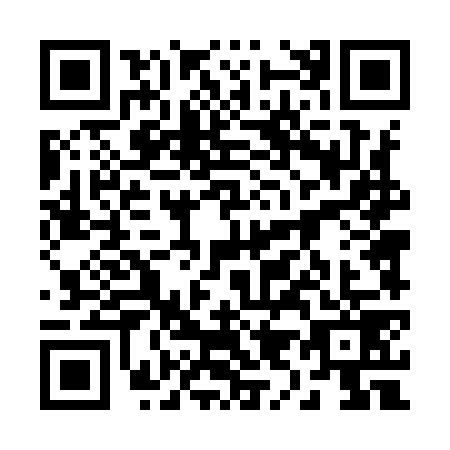QR code for 29-49795