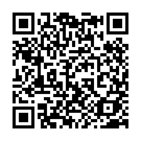 QR code for 29-50MI