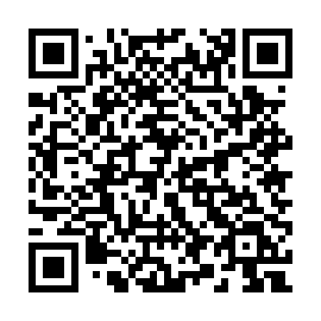 QR code for 29-50PL