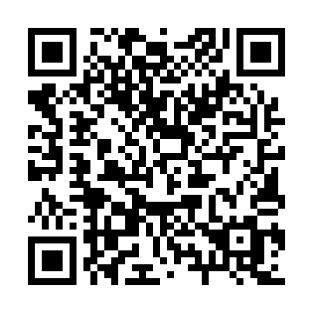 QR code for 29-511M