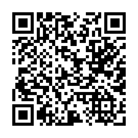 QR code for 29-519M