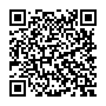 QR code for 29-595H