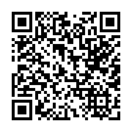 QR code for 29-599N
