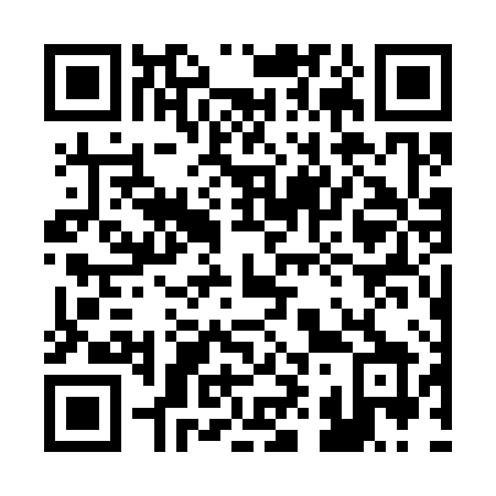 QR code for 29-738X