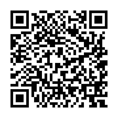 QR code for 29-79995