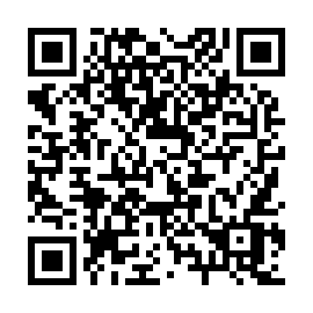 QR code for 29-895V