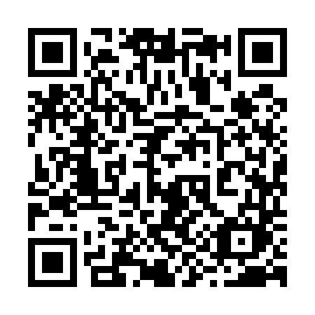 QR code for 29-954M