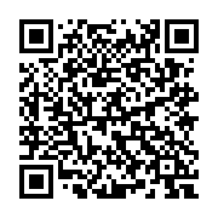 QR code for 29-95DI