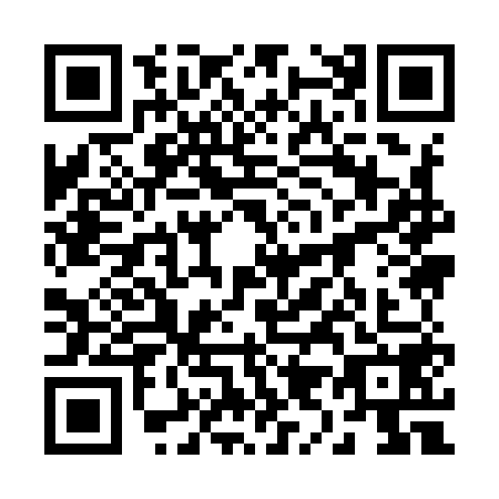 QR code for 29-99580
