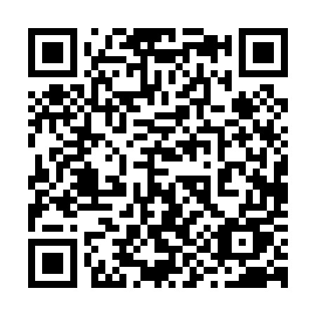 QR code for 29005U