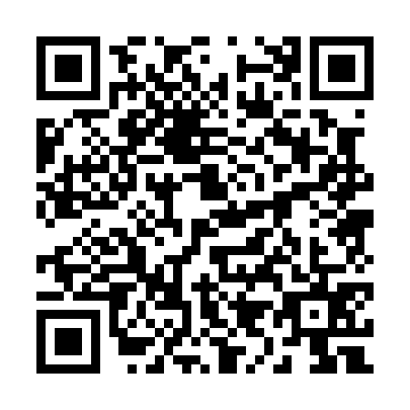QR code for plate 29-00751