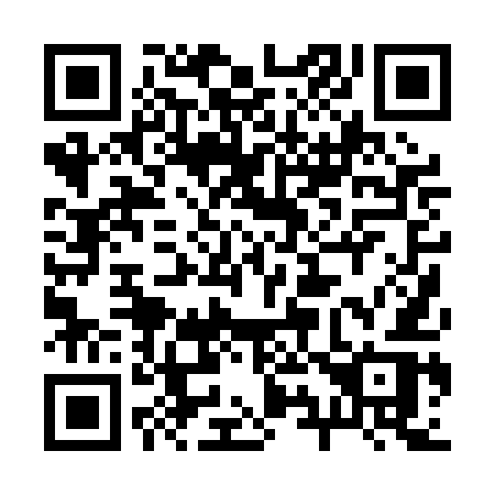 QR code for plate 29-00ER