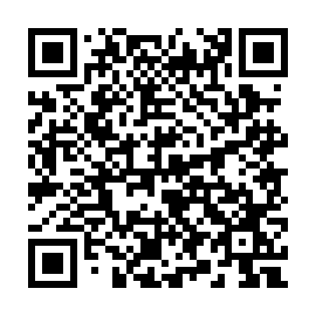 QR code for 2900NO