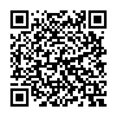 QR code for 29017X