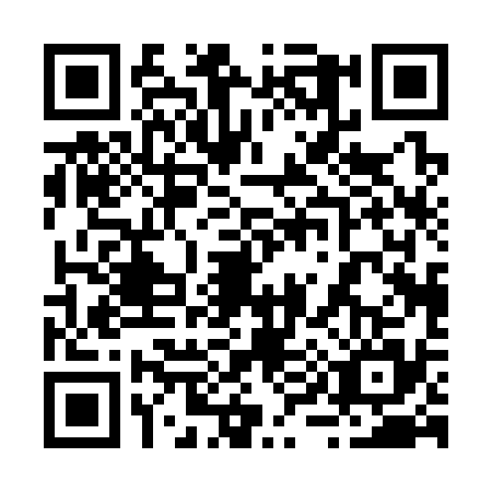 QR code for 2903353