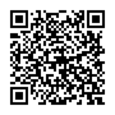 QR code for plate 29-095U