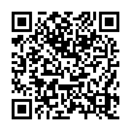 QR code for plate 2-9096Z