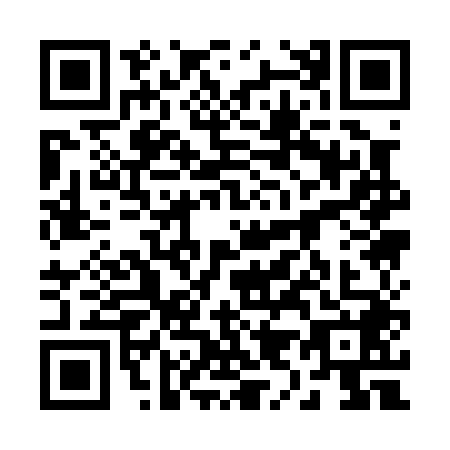 QR code for plate 29-10484