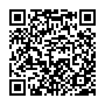 QR code for plate 29-11HS