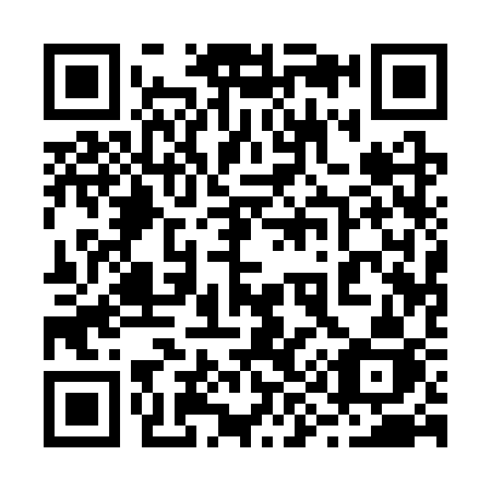 QR code for plate 29-13SJ