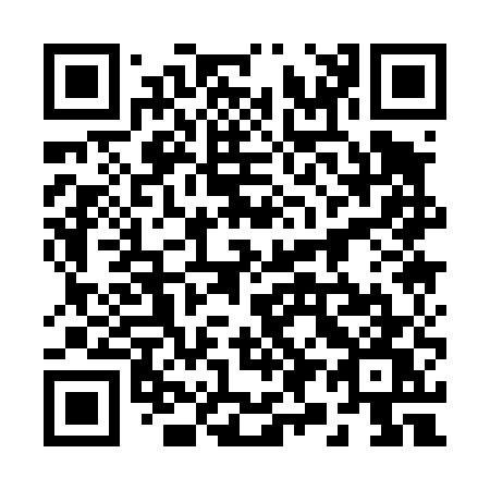 QR code for plate 29-145W