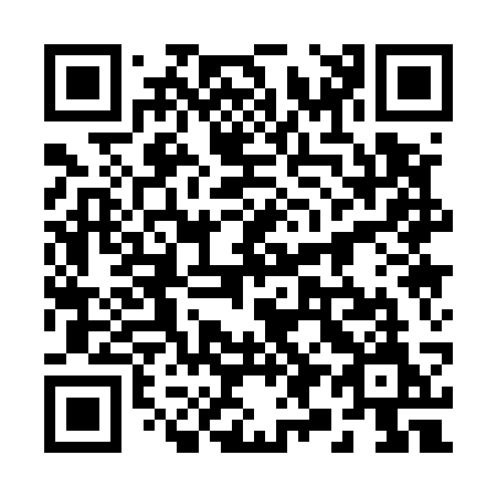 QR code for plate 29-153M