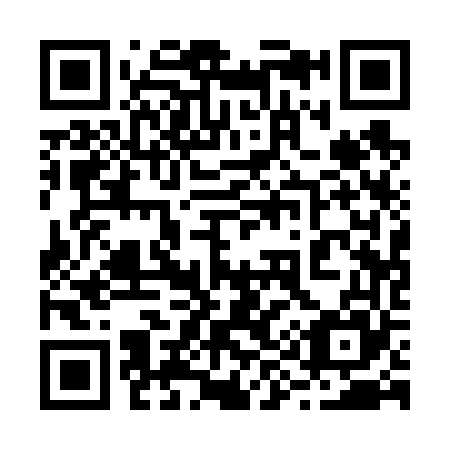 QR code for plate 29-1665