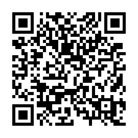 QR code for plate 29-17FI