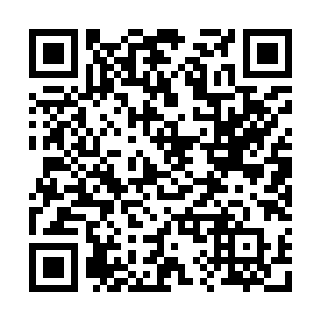 QR code for plate 29-198P