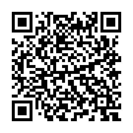 QR code for plate 29-19ZZ