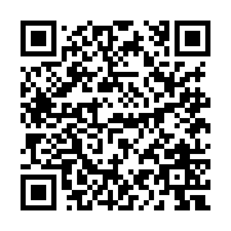 QR code for 291HO