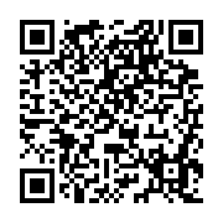 QR code for 291SG