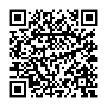 QR code for 291XE