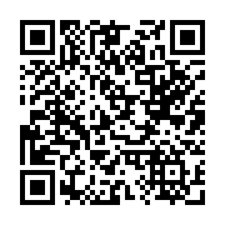QR code for 29213W
