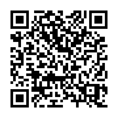 QR code for plate 29-22AP