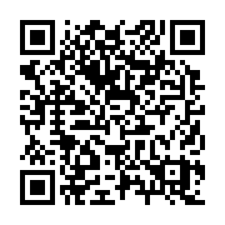 QR code for plate 29-230Y