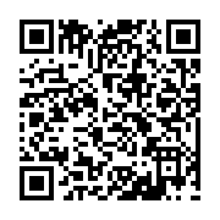 QR code for 29238