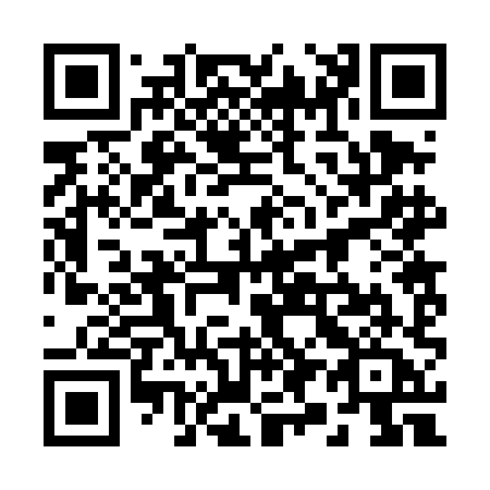 QR code for plate 29-24HA