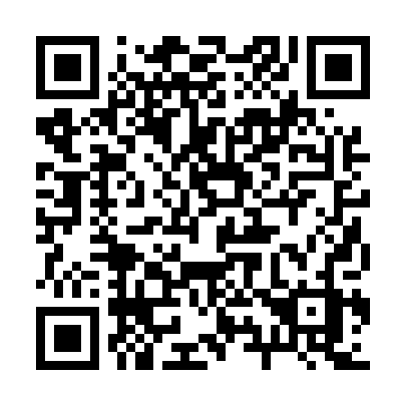 QR code for 29250Z