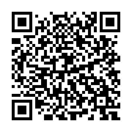 QR code for 2925PO