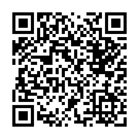 QR code for 29263